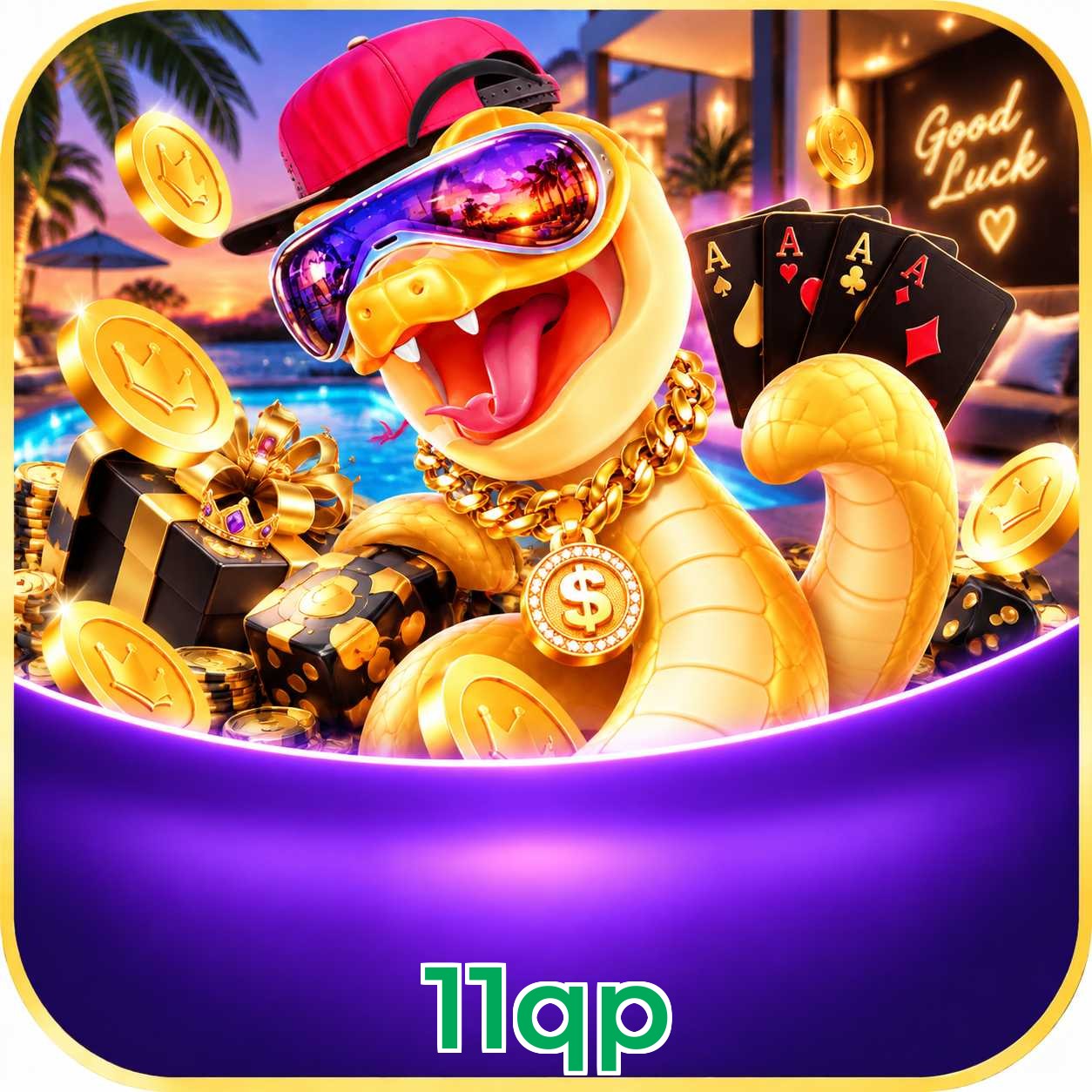 11qp VIP Program